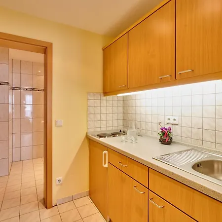 Appartementhotel 4* باد فسينغ